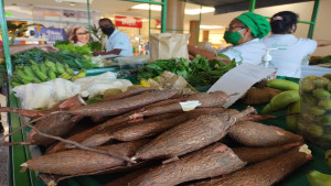 Feira de orgânicos retorna ao Boulevard Shopping Camaçari nesta sexta (26)